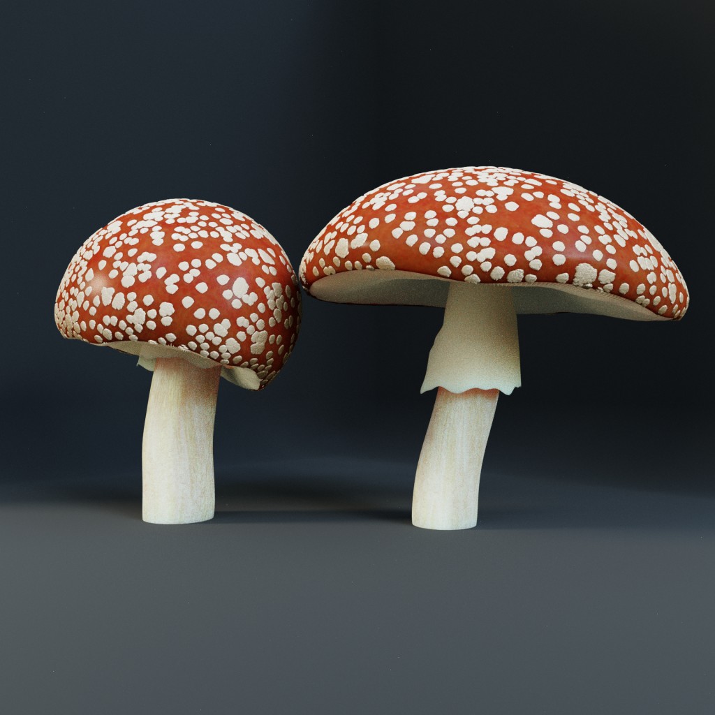 Fly Agaric / Fliegenpilz preview image 2
